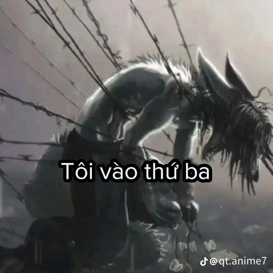 Sói Cô Độc Meme