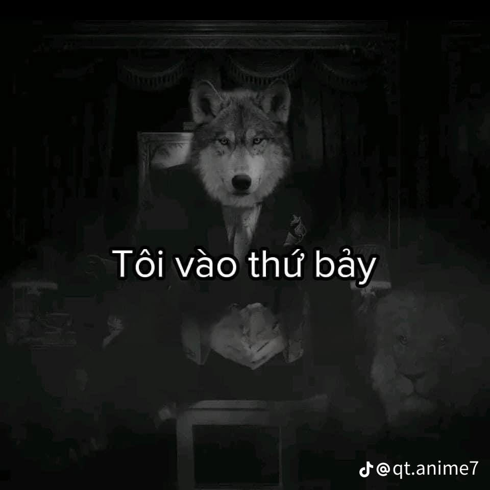 Sói Cô Độc Meme