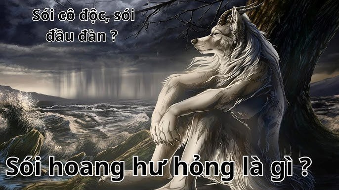 Sói Cô Độc Meme là gì?