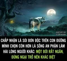 Sói Cô Độc Meme