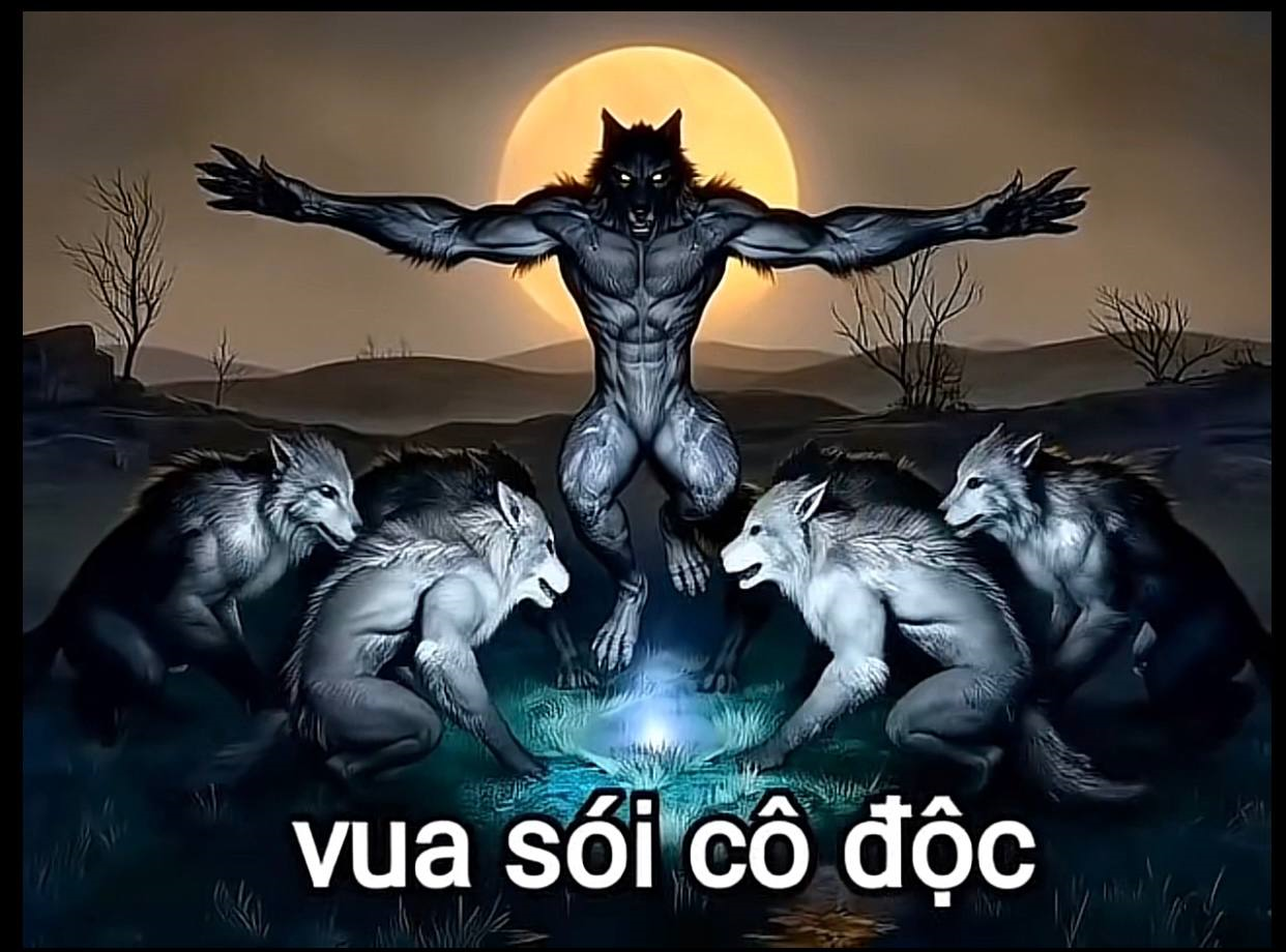 Sói Cô Độc Meme