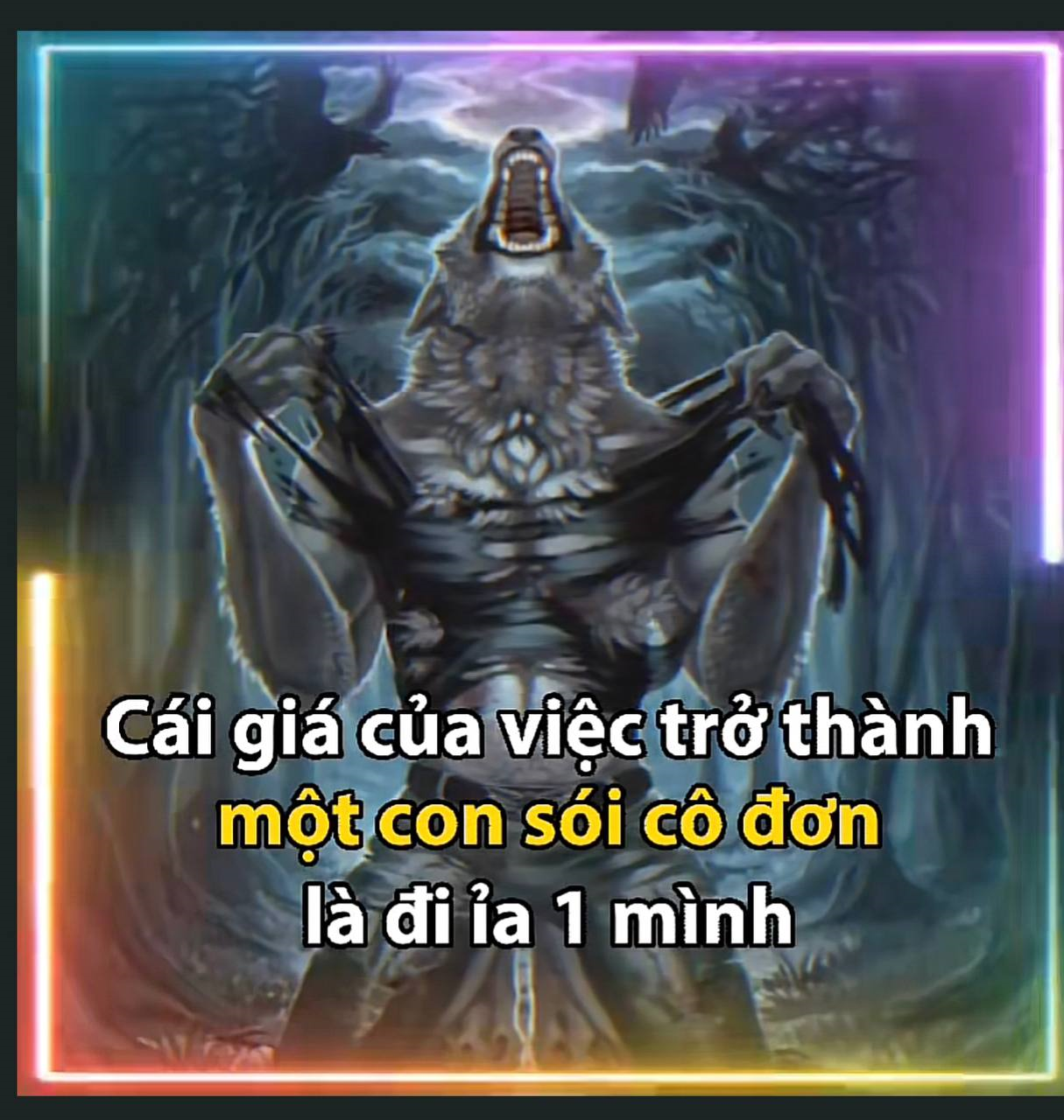 Sói Cô Độc Meme