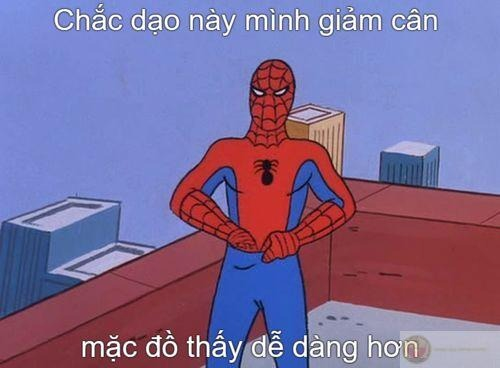 Spider Man Meme
