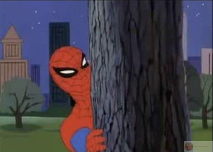Spider Man Meme