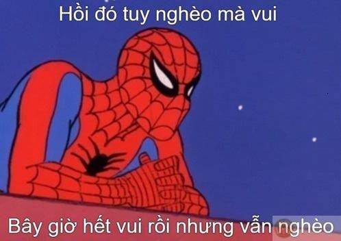 Spider Man Meme