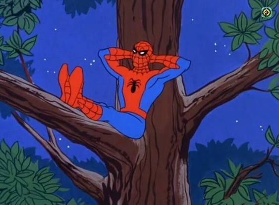 Spider Man Meme