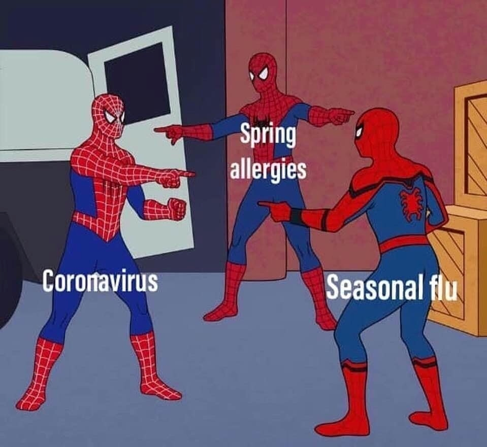 Spider Man Meme