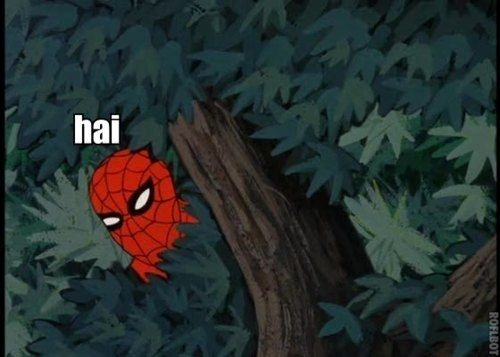 Spider Man Meme