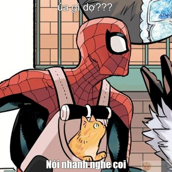 Spider Man Meme