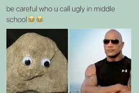 The Rock Meme