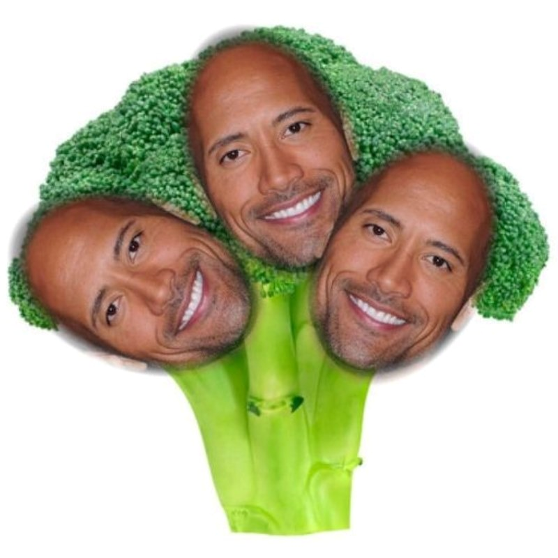 The Rock Meme