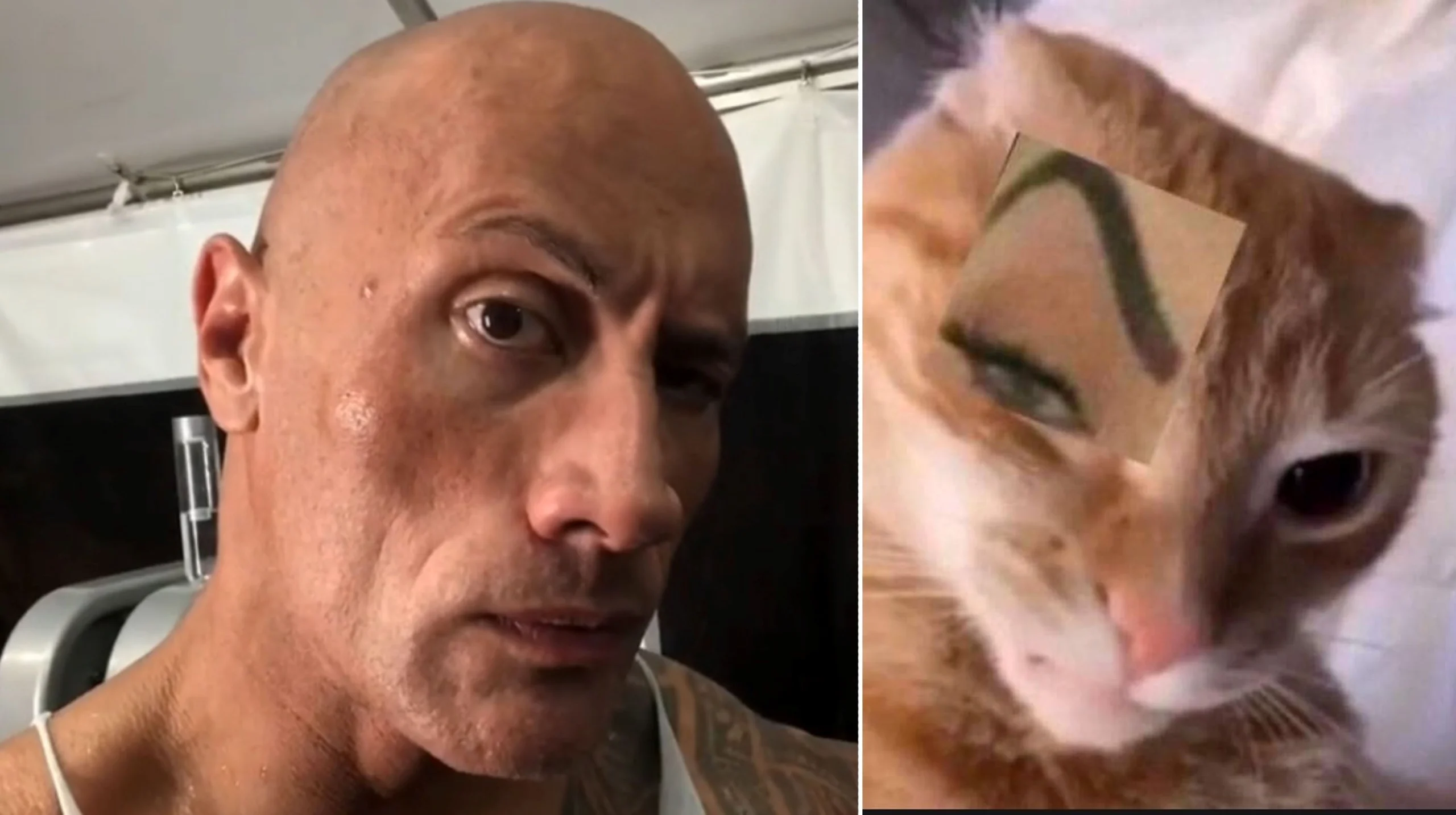 The Rock Meme