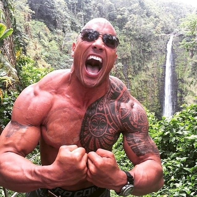 The Rock Meme