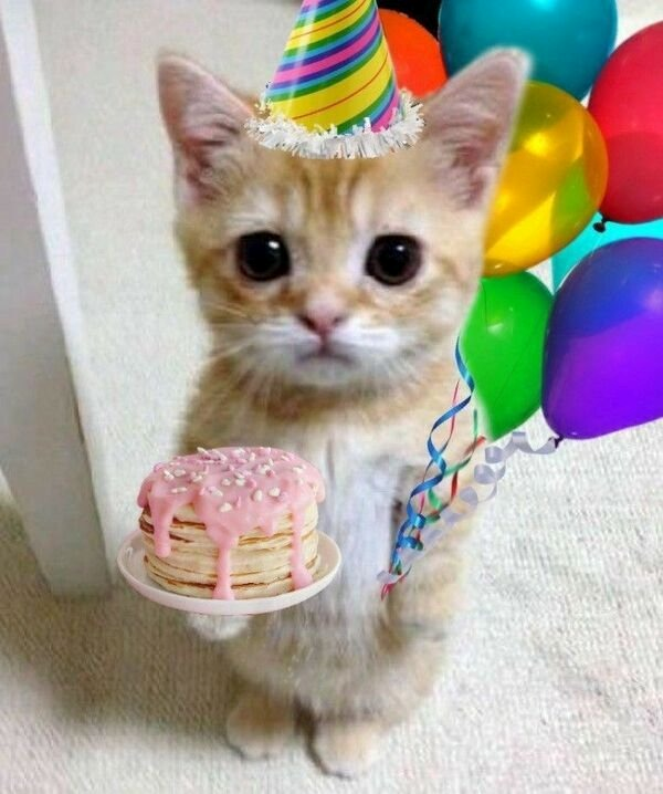 Happy Birthday Meme 
