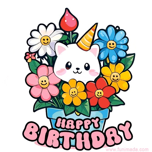 Happy Birthday Meme 