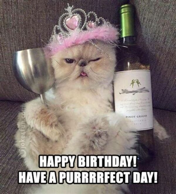 Happy Birthday Meme 