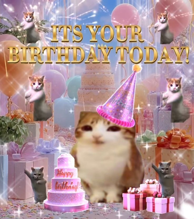 Happy Birthday Meme 