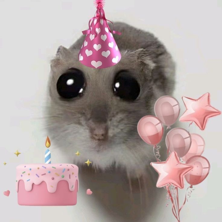 Happy Birthday Meme 