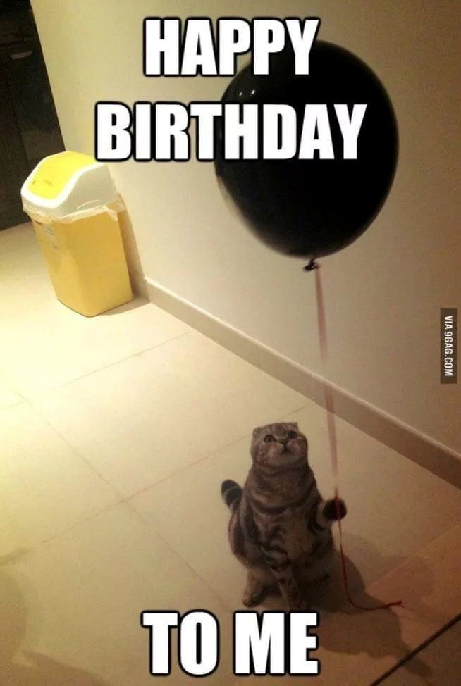 Happy Birthday Meme 