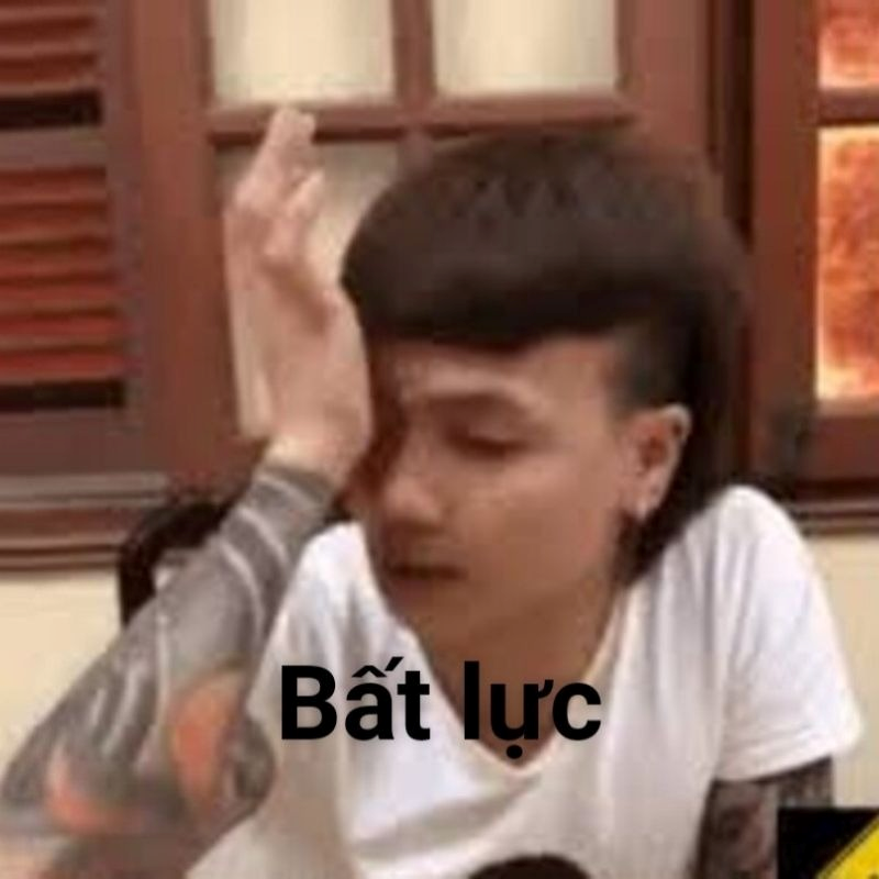Meme Bất Lực