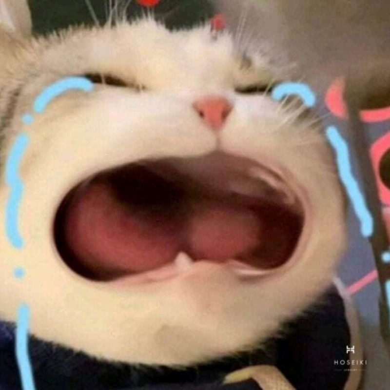 Meme Bất Lực