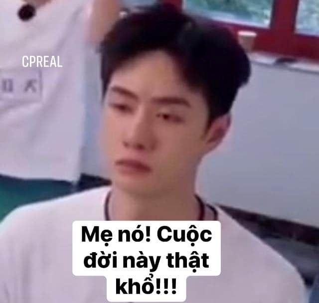 Meme Bất Lực