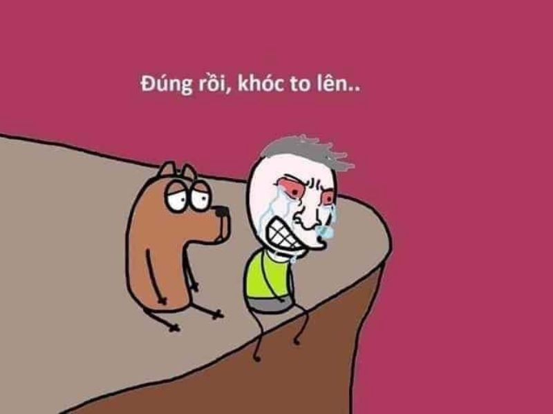 Meme Bất Lực