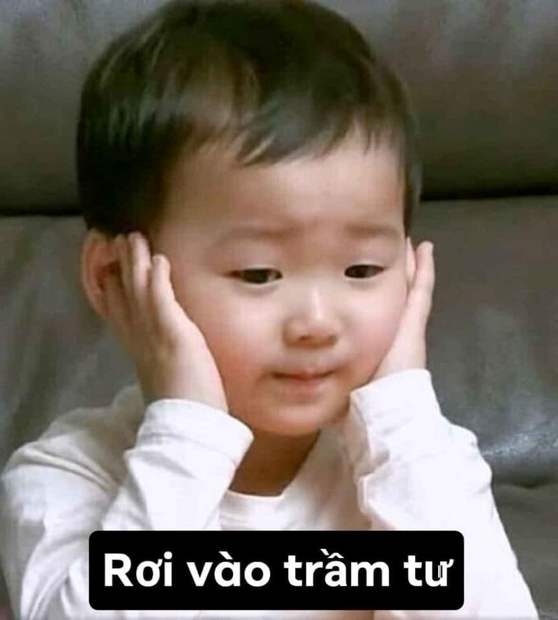 Meme Bất Lực