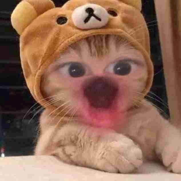 meme bất ngờ 