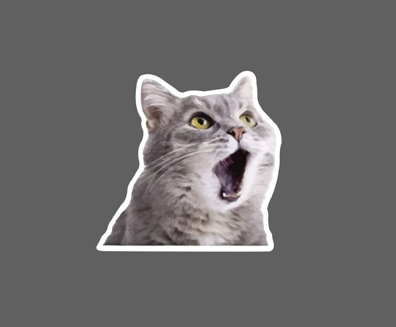 meme bất ngờ 