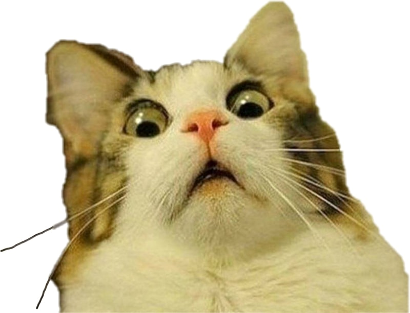 meme bất ngờ 