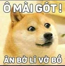 meme bất ngờ 