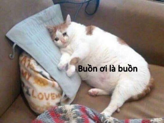 Meme Buồn 