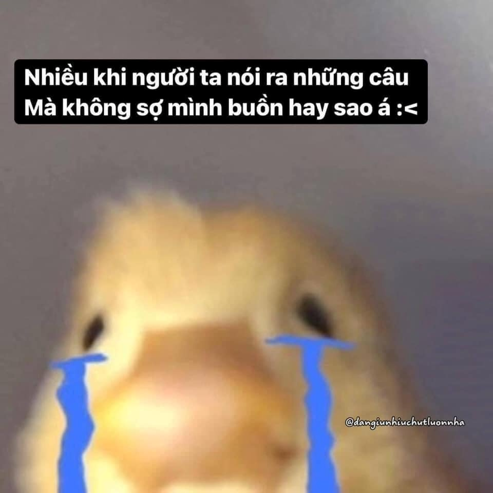 Meme Buồn 