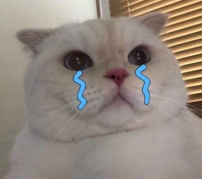 Meme Buồn 
