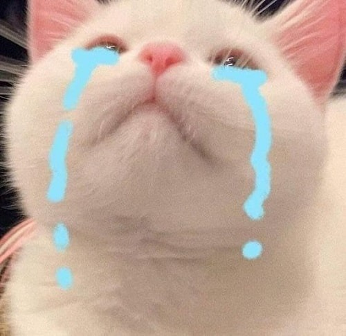 Meme Buồn 