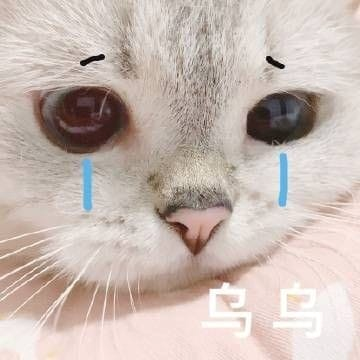 Meme Buồn 