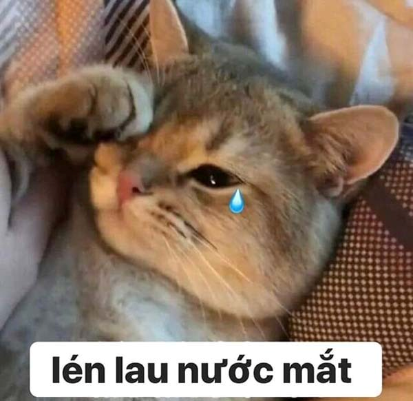 Meme Buồn 