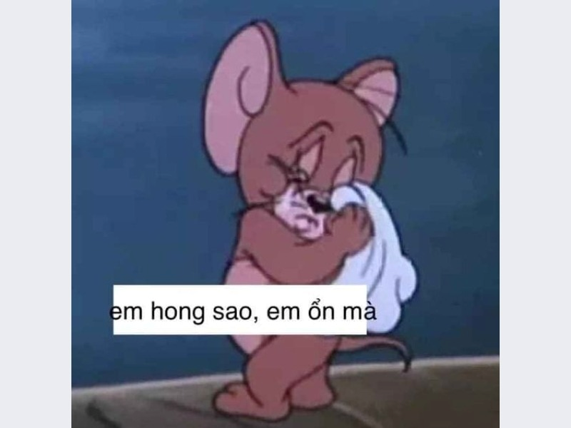 Meme Buồn 