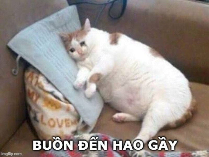 Meme Buồn 