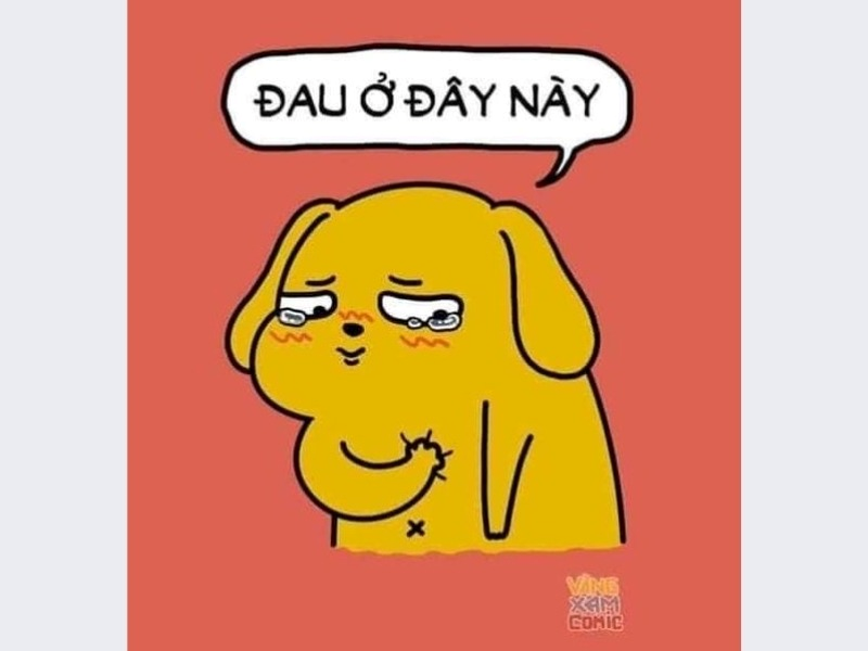 Meme Buồn 