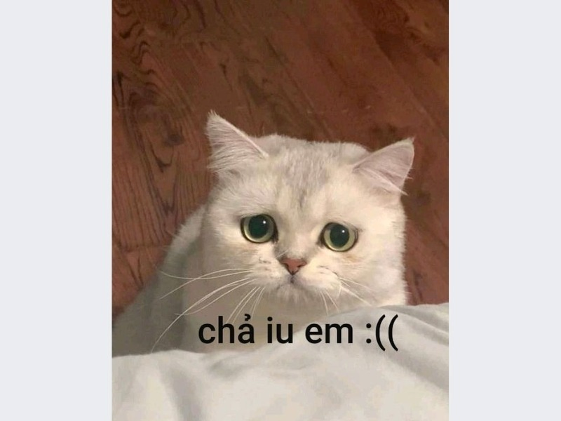 Meme Buồn 
