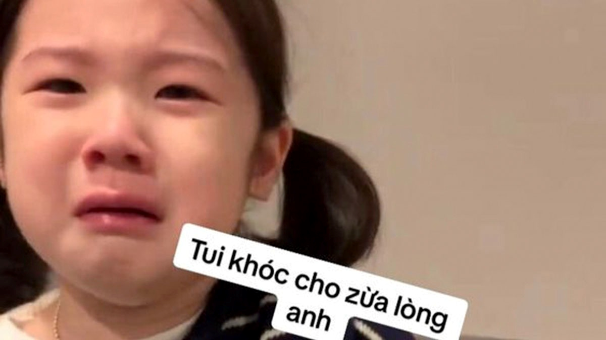 Meme Buồn 