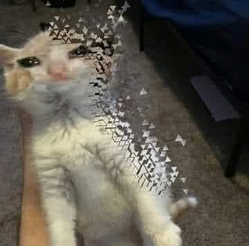 Meme Buồn 