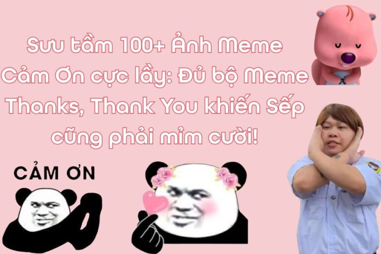 Sưu tầm 100+ Ảnh Meme Cảm Ơn cực lầy: Đủ bộ Meme Thanks, Thank You khiến Sếp cũng phải mỉm cười!