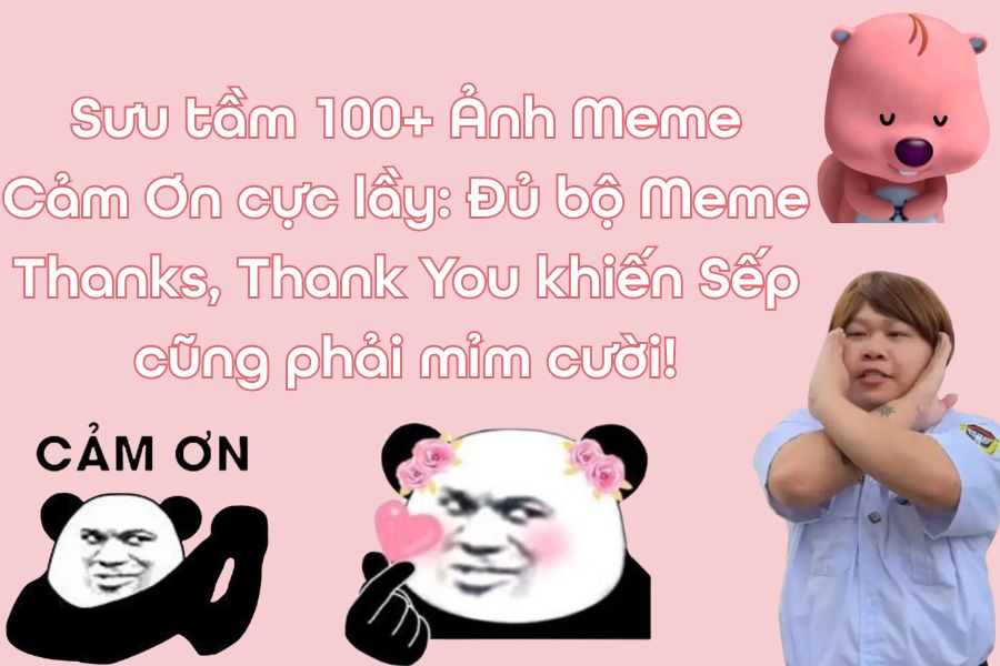 Meme Cảm Ơn