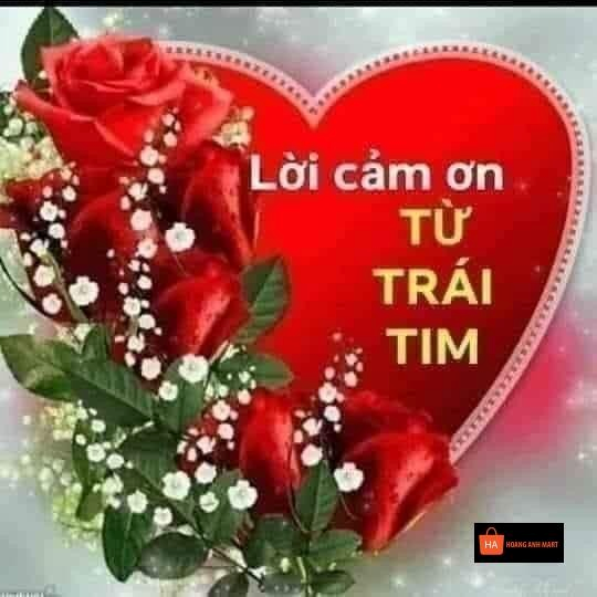 Meme Cảm Ơn 