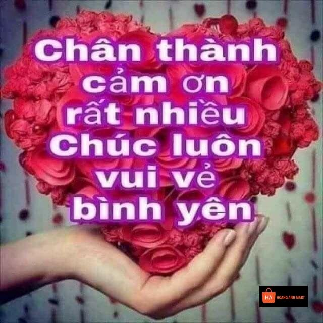 Meme Cảm Ơn 