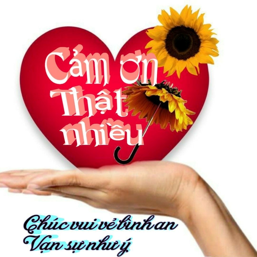 Meme Cảm Ơn 