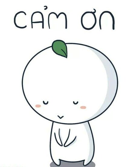 Meme Cảm Ơn 